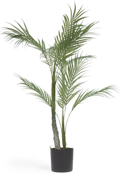 Palmera, Tekokasvi, musta, H70x70x60 cm