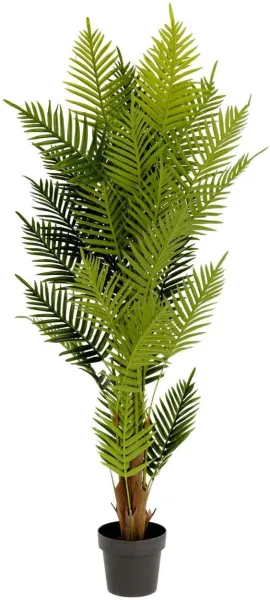Palmera, Tekokasvi, vihreä/musta, H150x70x70 cm