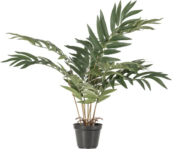 Kwai, Tekokasvi, vihreä, K68xL50xS51 cm