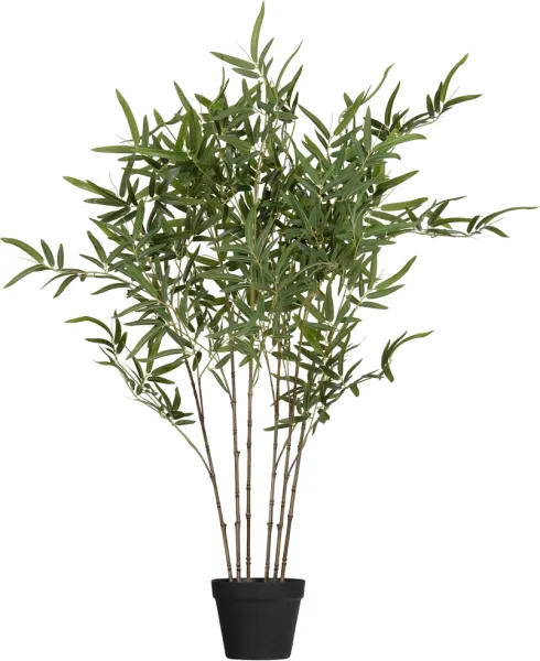 Bambusa, Tekokasvi, vihreä, K100x110x110 cm