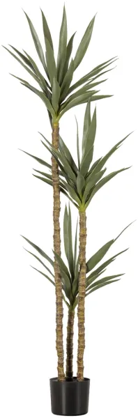 Yucca, Tekokasvi, vihreä, K155x70x70 cm